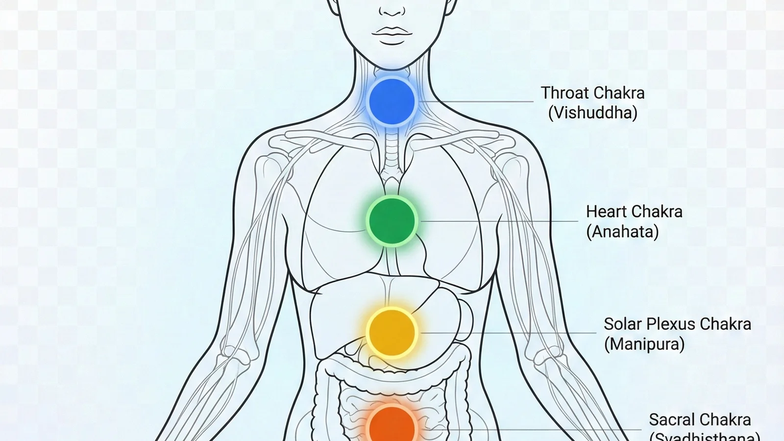 Chakras visualization
