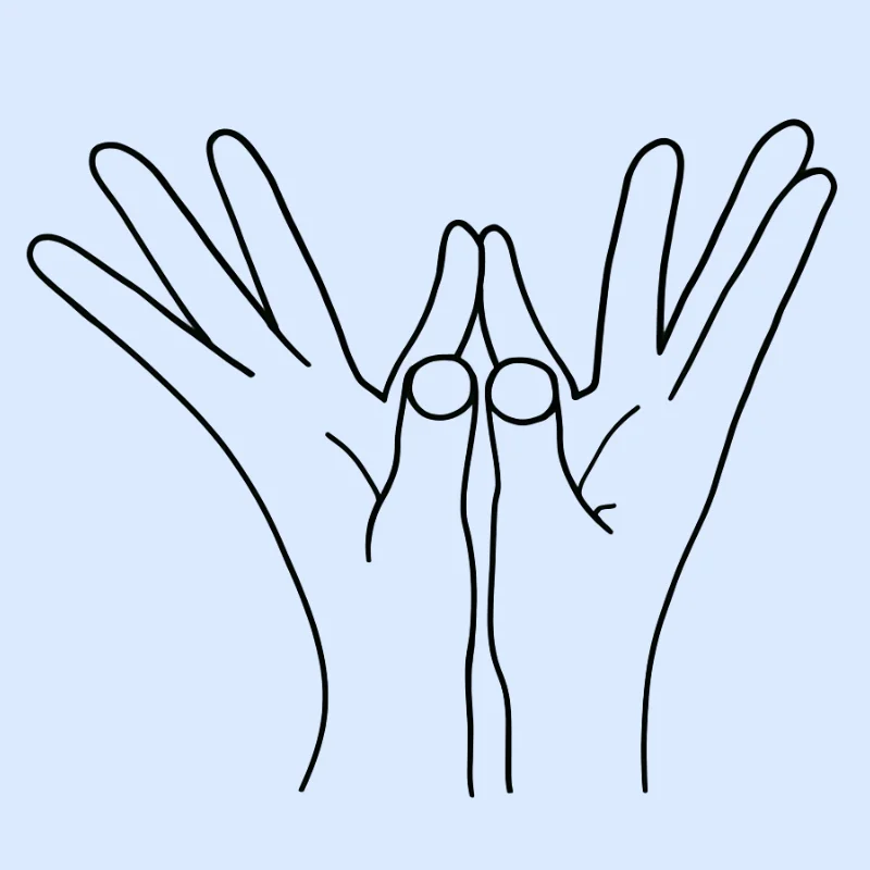Padma Mudra (Lotus Mudra)
